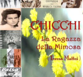 chicchi la ragazza della mimosa